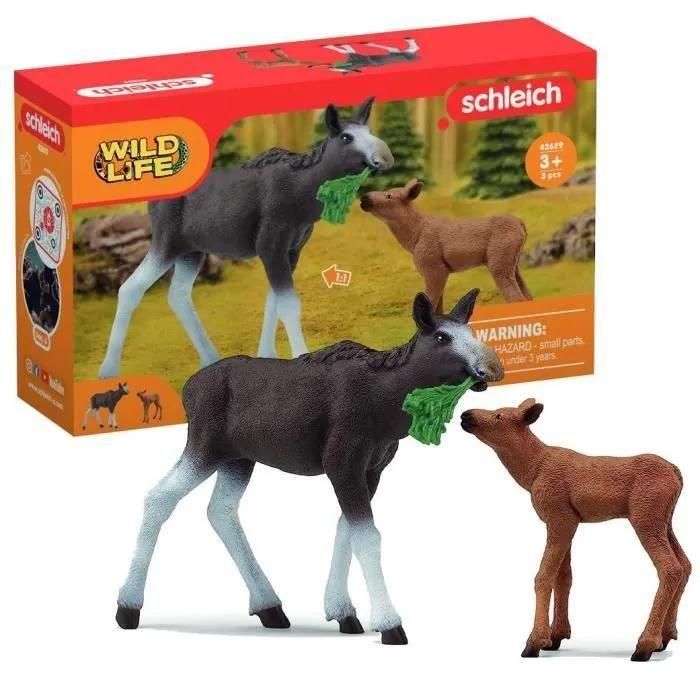 Wild Life lan Femelle Avec Veau