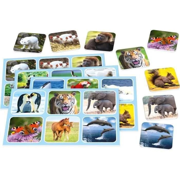 Jeux De Soci�t� Zoo Lotto - 2