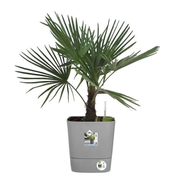 Pot De Fleurs Carr Extrieur/Intrieur 38 X 38 Cm Elho Aqua Care Greensens... - 3