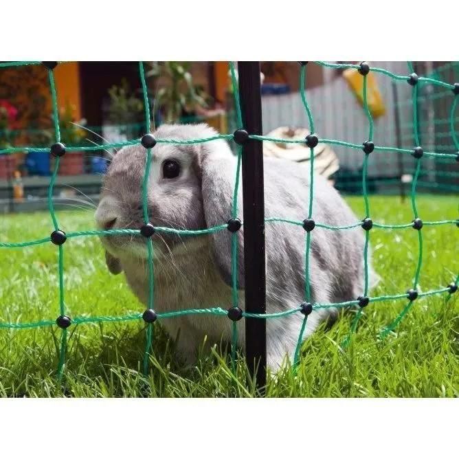 Rabbitnet - Kerbl - 50 M - 65 Cm - Double Pointe - Vert - 3
