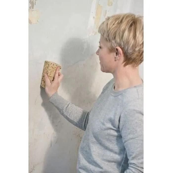 Rubson 1800225 Bidon de Peinture pour traitement de murs humides intrieurs ... - 3
