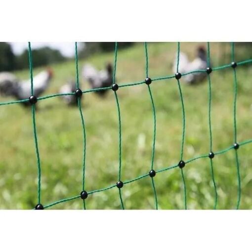 Filet E Volaille - Kerbl - 25 M - 106 Cm - Double Pointe - Vert - 3