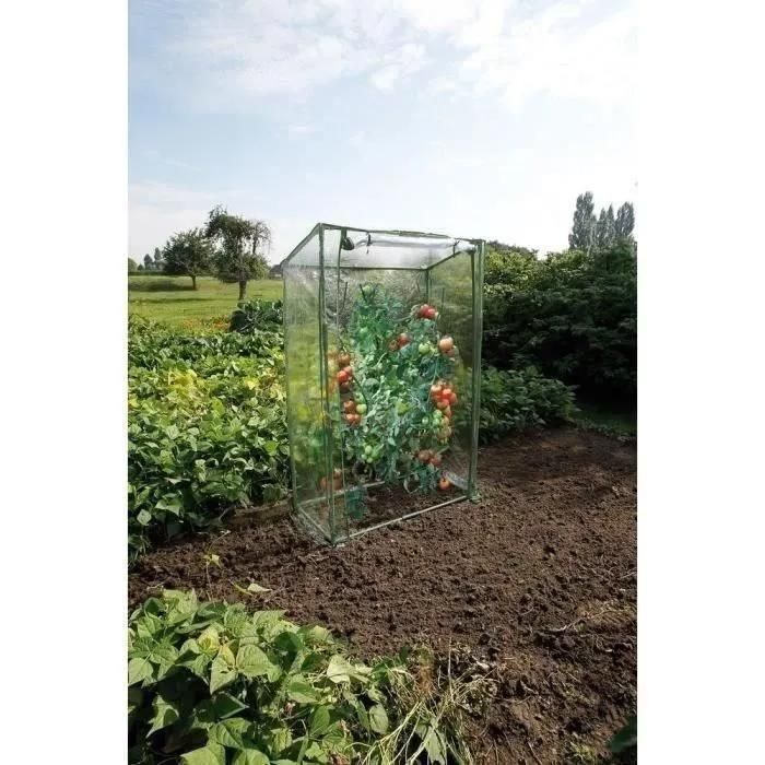 Serre � Tomates 100x50x150 Cm Nature