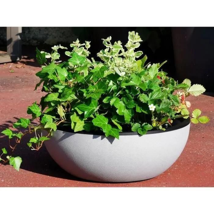 Riviera - Coupe Pot De Fleurs - Granit D40 - Stone - 2