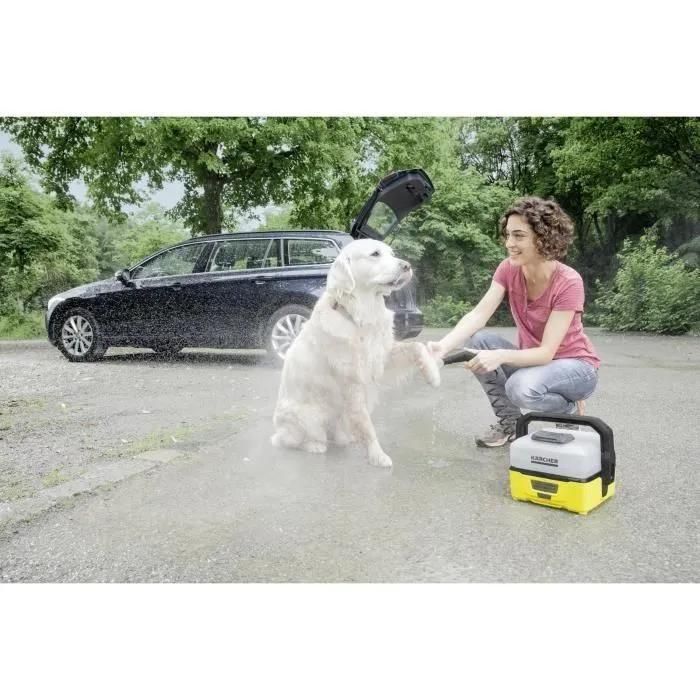 Brosse Karcher Kit Animaux Pour Nettoyeur Portable Karcher Oc3 (2.643-859.0... - 2