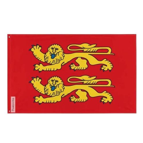 Drapeau - Normand - 96 x 144 cm - Polyester - Recto/verso - ?illets en fer