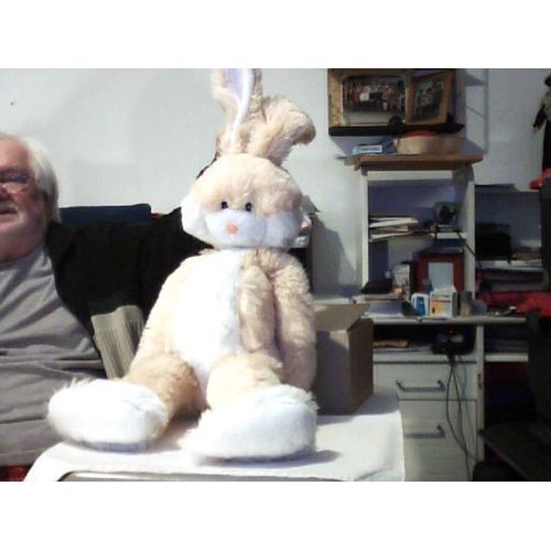Peluche Jouée Un Grand Lapin Belge
