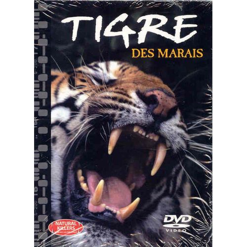 Tigre Des Marais