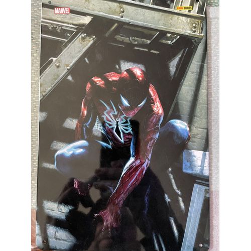 Spiderman Métal Print