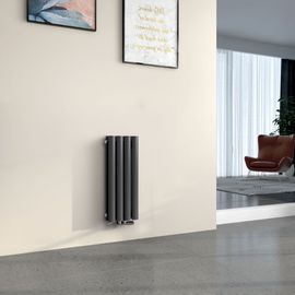 EMKE Radiateur à eau chaude petit 60 x 24 cm, radiateur à panneau ovale, connexion centrale, radiateur vertical, radiateur tubulaire, double couche, gris anthracite, 248 watts
