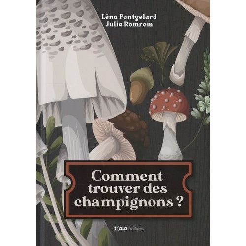 Comment Trouver Des Champignons ?