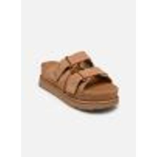 W Goldenstar Hi Slide Par