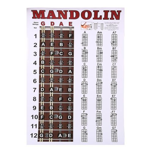 Mandoline Tableau D¿Affiches Accord Entraînement Musical Guide D¿Instrument Accords Touche Tableau De Doigté