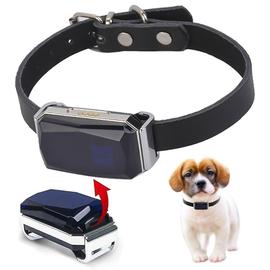 Collier avec Balise GPS temps réel sans abonnement pour animaux chien et  chat - GPS - Achat & prix