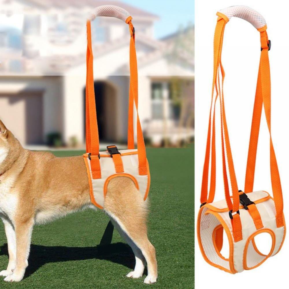 ② Lot accessoires pour chien : Jouets - gamelle - harnais