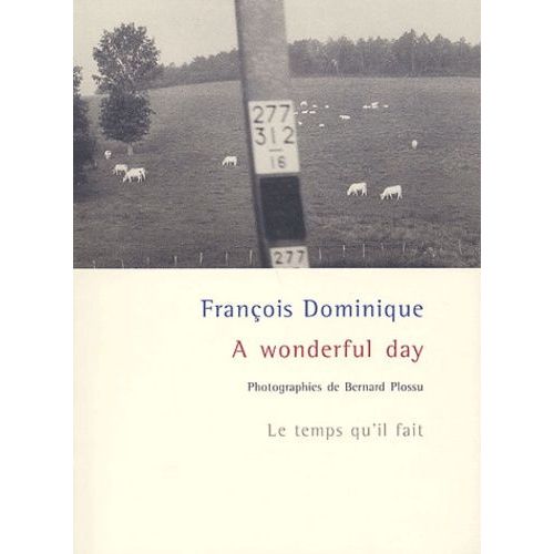 A Wonderful Day