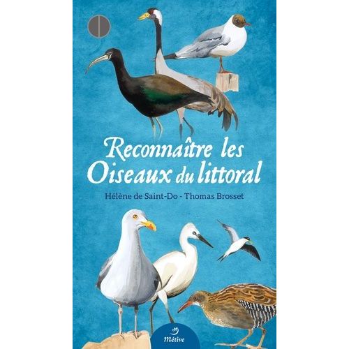 Reconnaître Les Oiseaux Du Littoral - Avec 54 Fiches