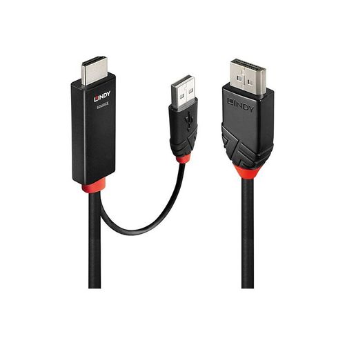 Lindy - Câble adaptateur - HDMI, USB (alimentation uniquement) mâle pour DisplayPort mâle - 1 m - blindé - noir - support pour 4K60Hz, rond, actif