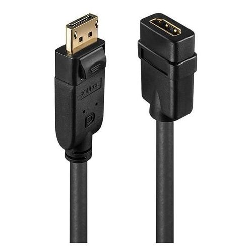 Lindy - Adaptateur vidéo - DisplayPort mâle pour HDMI femelle - 0.15 m - noir