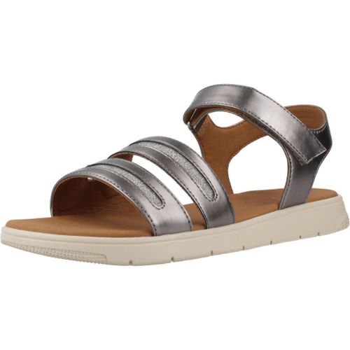 Chaussures Geox D Dandra Colour Gris