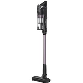 Aspirateur Balai sans fil Hoover HF1 PLUS Home (HF1P10H 011)