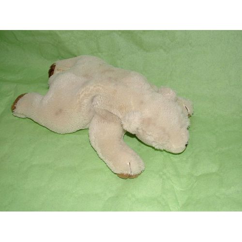 Ours Cyrillus