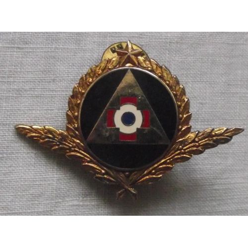 Insigne Ou Pin's Marque Drago Paris Lauriers Et Drapeau Bleu Blanc Rouge