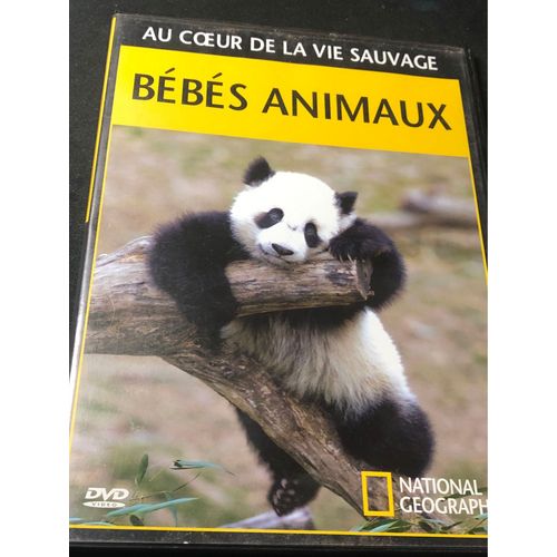 Bébés Animaux - Au Coeur De La Vie Sauvage