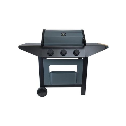 COOK IN GARDEN Barbecue gaz - Burn - AM253T