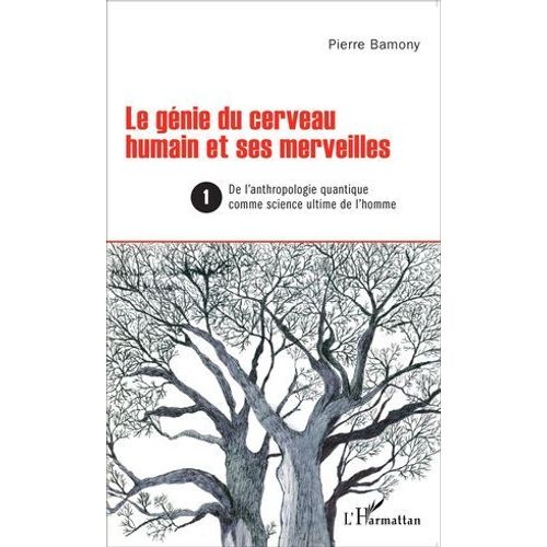 Le Génie Du Cerveau Humain Et Ses Merveilles 1