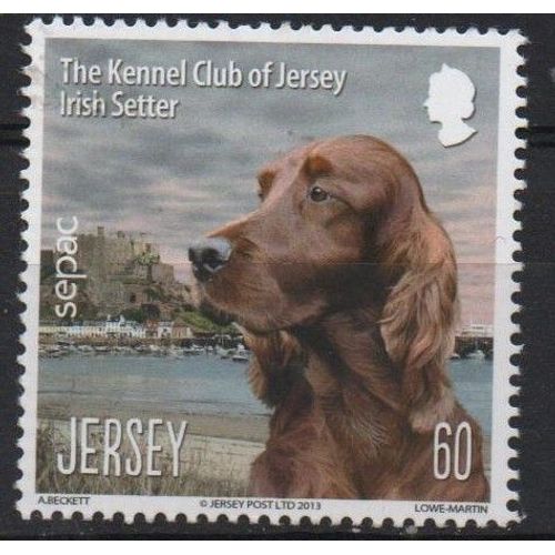 Jersey Timbre L' Épagneul Irlandais 2013