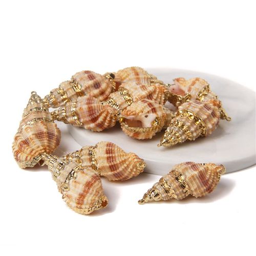 Boucles D'oreilles À Breloques En Forme De Coquillage Pour Travaux Manuels, Accessoire De Bijouterie, Collier, Conque Irrégulière Plaquée, 2 À 10 Pièces, Vente En Gros
