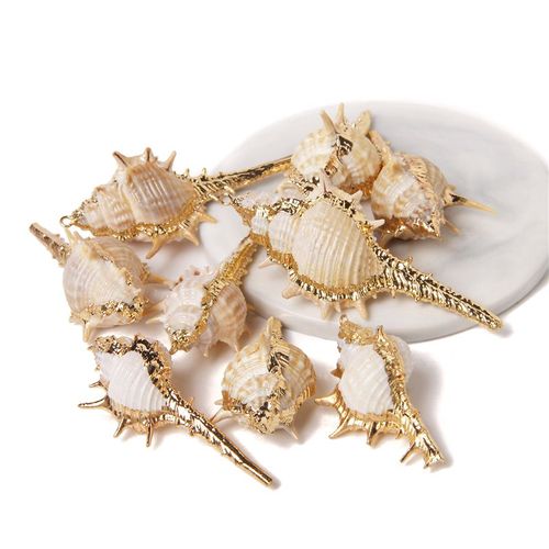 Boucles D'oreilles À Breloques En Forme De Coquillage Pour Travaux Manuels, Accessoire De Bijouterie, Collier, Conque Irrégulière Plaquée, 2 À 10 Pièces, Vente En Gros
