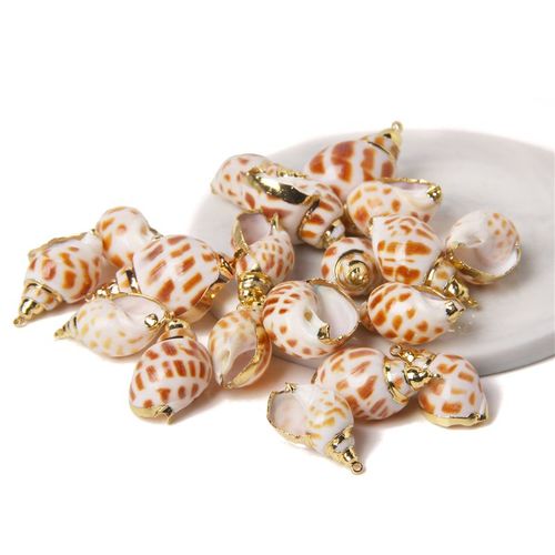 Boucles D'oreilles À Breloques En Forme De Coquillage Pour Travaux Manuels, Accessoire De Bijouterie, Collier, Conque Irrégulière Plaquée, 2 À 10 Pièces, Vente En Gros