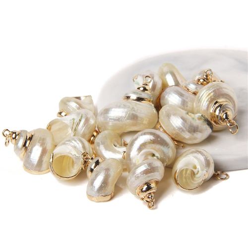 Boucles D'oreilles À Breloques En Forme De Coquillage Pour Travaux Manuels, Accessoire De Bijouterie, Collier, Conque Irrégulière Plaquée, 2 À 10 Pièces, Vente En Gros
