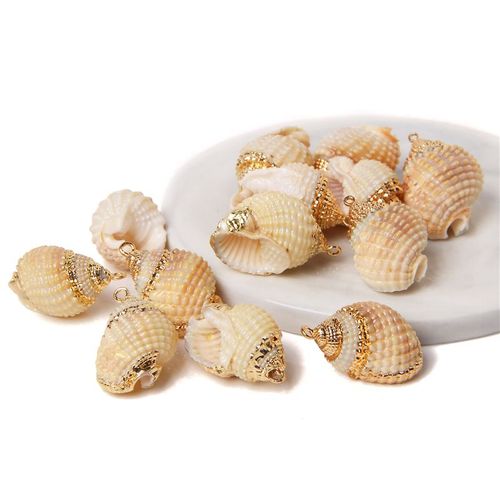 Boucles D'oreilles À Breloques En Forme De Coquillage Pour Travaux Manuels, Accessoire De Bijouterie, Collier, Conque Irrégulière Plaquée, 2 À 10 Pièces, Vente En Gros