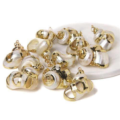 Boucles D'oreilles À Breloques En Forme De Coquillage Pour Travaux Manuels, Accessoire De Bijouterie, Collier, Conque Irrégulière Plaquée, 2 À 10 Pièces, Vente En Gros