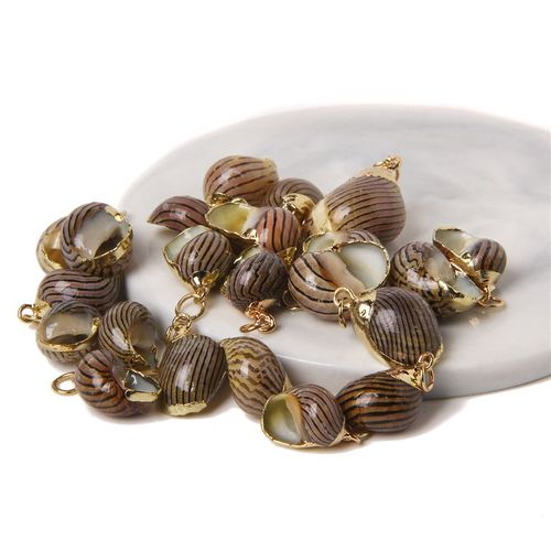 Boucles D'oreilles À Breloques En Forme De Coquillage Pour Travaux Manuels, Accessoire De Bijouterie, Collier, Conque Irrégulière Plaquée, 2 À 10 Pièces, Vente En Gros