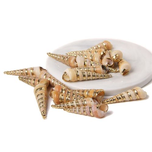 Boucles D'oreilles À Breloques En Forme De Coquillage Pour Travaux Manuels, Accessoire De Bijouterie, Collier, Conque Irrégulière Plaquée, 2 À 10 Pièces, Vente En Gros