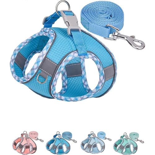 Harnais Pour Chien Pour Petits Chiens Moyens Sans Traction, Ensemble Harnais Et Laisse Pour Chiot, Harnais Pour Chien Easy Walk Pour La Marche, La Course, L¿Entraînement (Bule, S)