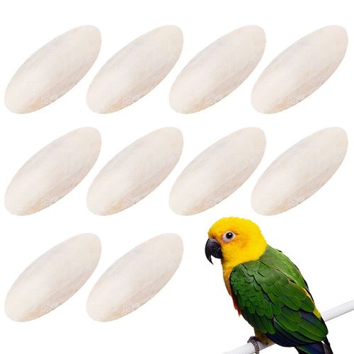 Jouets Pratiques À Mastiquer En Os De Seiche,10 Pièces,Entraînement Pour Animaux De Compagnie,Mastiquer,Mastiquer - Type White