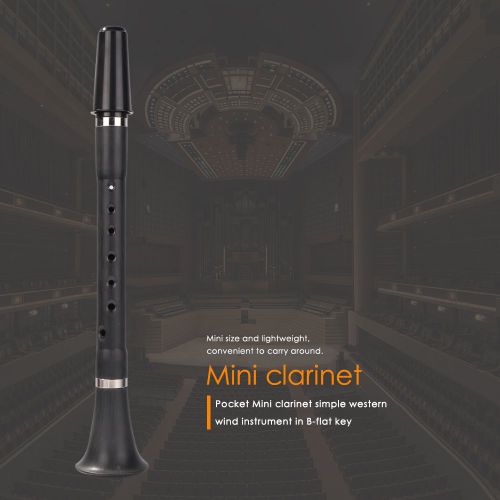 Mini Clarinette Sib Plate Portable Avec Sac De Transport,Idéale Pour Les Débutants Et Les Amateurs De Musique