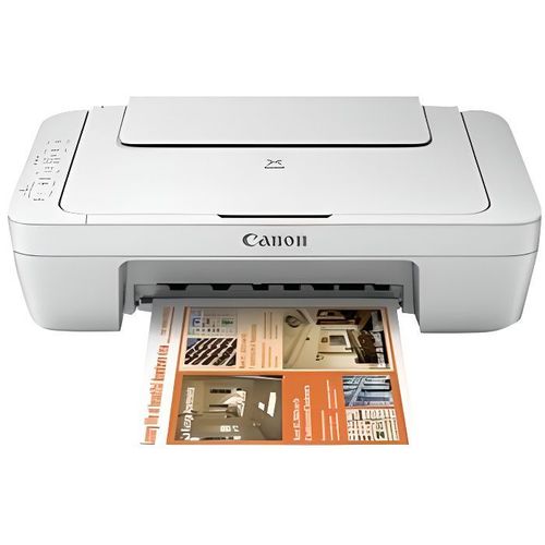 CANON Imprimante multifonction 3 en 1 PIXMA MG2950 - Jet d'encre - Couleur - WiFi - A4 - Argent