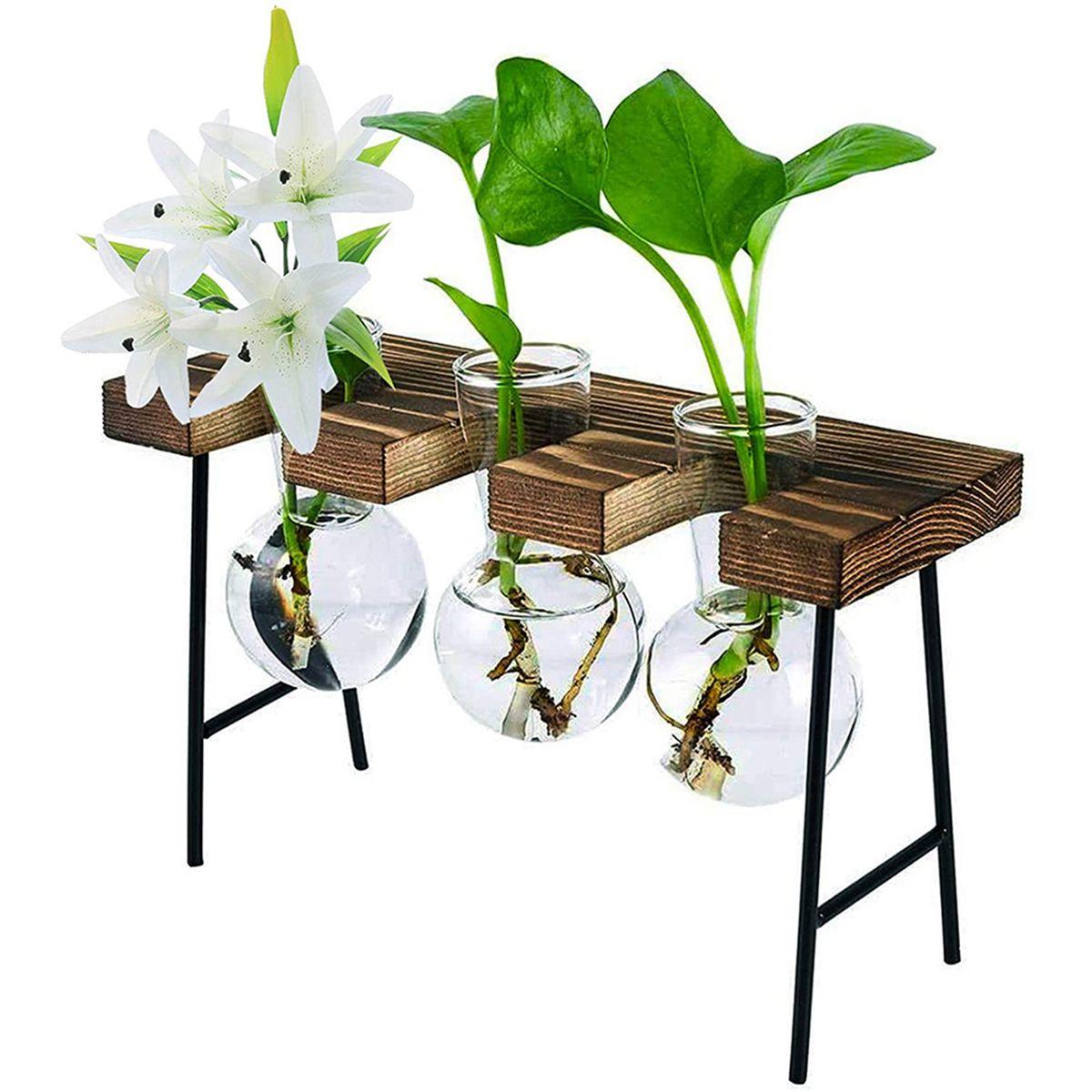 2x Terrarium De Plantes De Bureau Avec Support En Bois 3 Vas... - 2