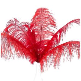 10 Pcs Plumes D¿Autruche Naturelles Décoration De Mariage Rouge 20-25cm