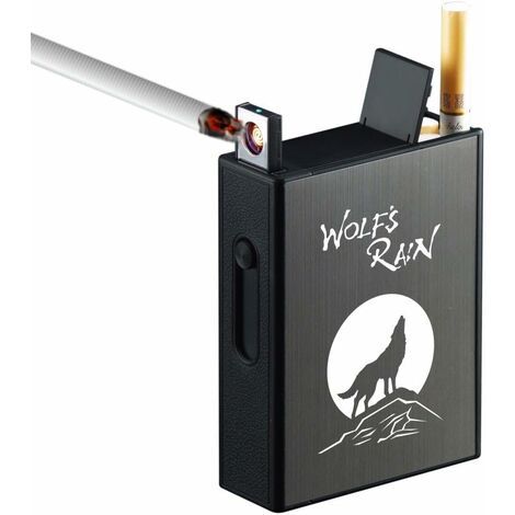 Étuis à Cigarettes en métal avec allume-cigare USB coupe-vent, boîte à  tabac Rechargeable pouvant