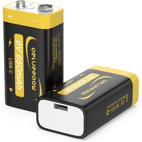 Piles 9v Rechargeable Li-ION 650mAh,Pile 9V Lithium Rechargeable USB-C 2 PCS avec Câble