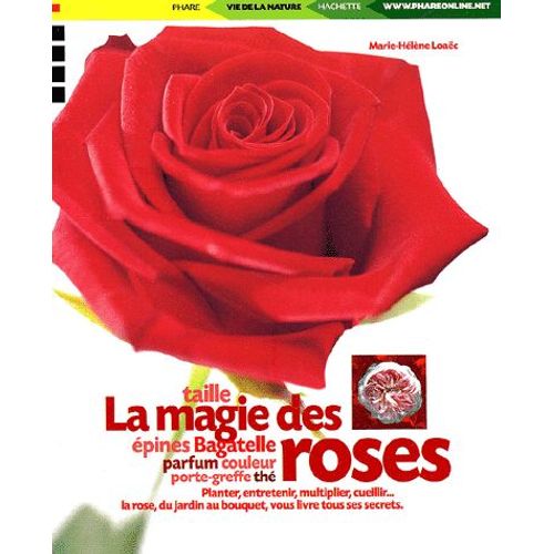 La Magie Des Roses