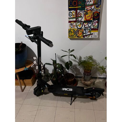 Trottinette Électrique