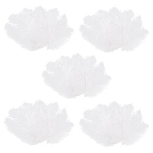 50 Pièces Plume D¿Autruche Naturelle Blanche 20-25cm Mariage Bricolage-Yu